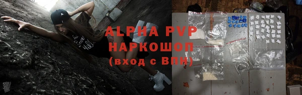стаф Алексин