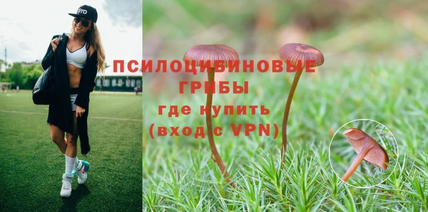 стаф Алексин