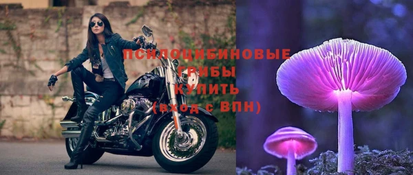 скорость Алзамай