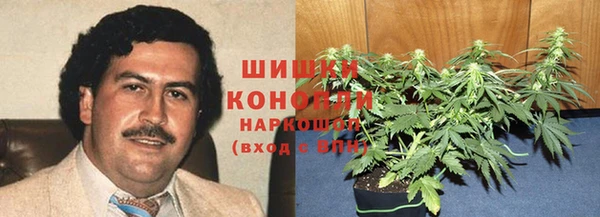 скорость Алзамай