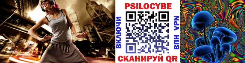 Псилоцибиновые грибы Cubensis  продажа наркотиков  Шебекино 